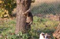 /album/fotogaleria/img-0002-jpg/