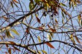 /album/fotogaleria/img-0004-jpg/