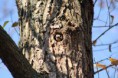 /album/fotogaleria/img-0007-jpg/