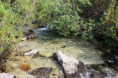 /album/fotogaleria/img-0011-jpg/